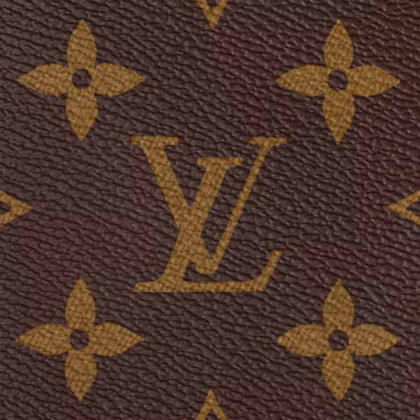 Louis Vuitton Speedy Bandoulière 25 老花枕頭包
